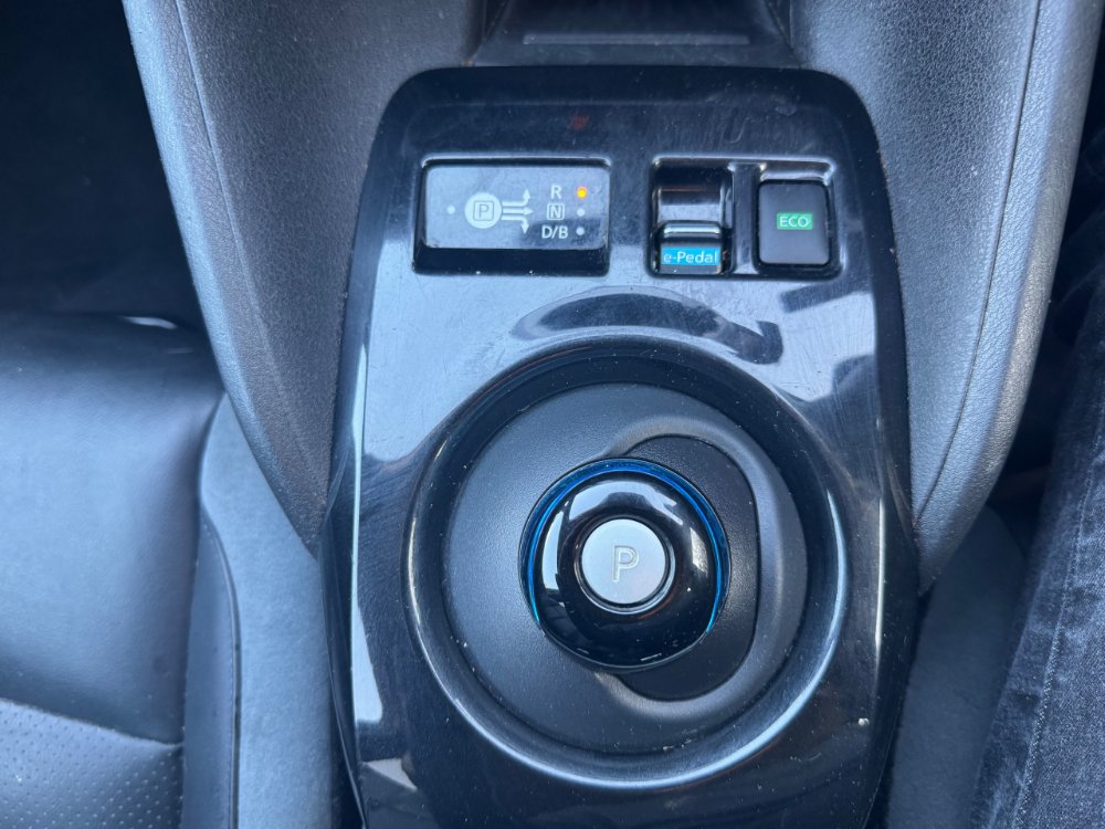 IMG_7996.jpeg